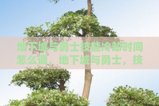 地下城与勇士技能冷却时间怎么调，地下城与勇士，技能解析与实战应用