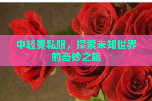 中轻变私服，探索未知世界的奇妙之旅