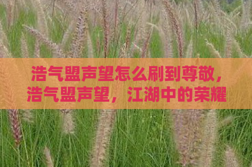 浩气盟声望怎么刷到尊敬，浩气盟声望，江湖中的荣耀与责任