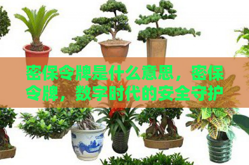 密保令牌是什么意思，密保令牌，数字时代的安全守护神