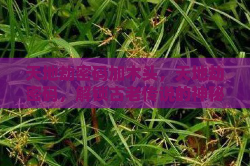 天地劫密码加木头，天地劫密码，解锁古老传说的神秘钥匙