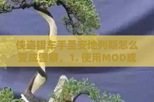 侠盗猎车手圣安地列斯怎么变成警察，1. 使用MOD或插件