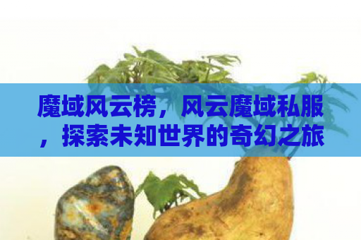 魔域风云榜，风云魔域私服，探索未知世界的奇幻之旅