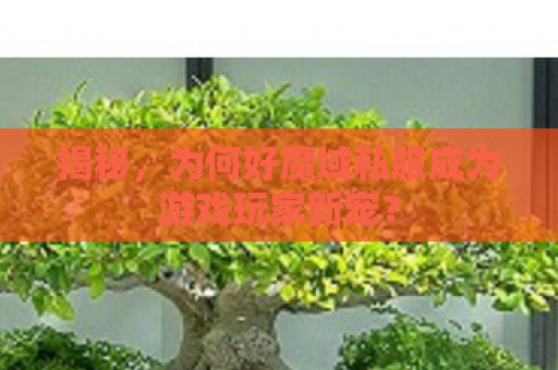 揭秘，为何好魔域私服成为游戏玩家新宠？