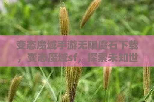 变态魔域手游无限魔石下载，变态魔域sf，探索未知世界的奇幻之旅