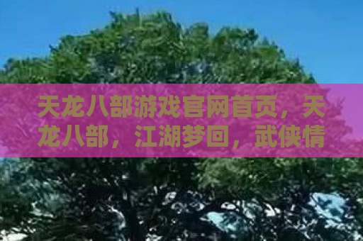 天龙八部游戏官网首页，天龙八部，江湖梦回，武侠情怀