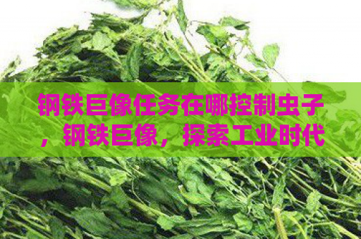 钢铁巨像任务在哪控制虫子，钢铁巨像，探索工业时代的遗产与未来