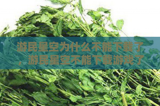 游民星空为什么不能下载了，游民星空不能下载游戏了，背后的原因与未来展望