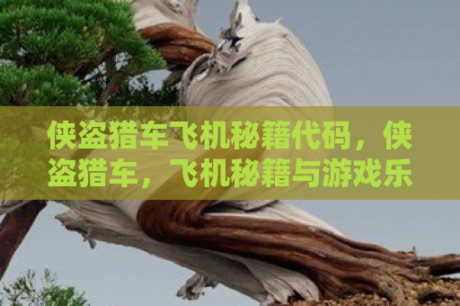 侠盗猎车飞机秘籍代码，侠盗猎车，飞机秘籍与游戏乐趣探索