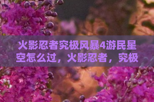 火影忍者究极风暴4游民星空怎么过，火影忍者，究极风暴4——游民星空下的热血回忆