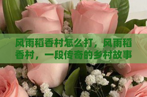 风雨稻香村怎么打，风雨稻香村，一段传奇的乡村故事