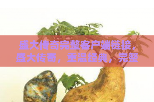 盛大传奇完整客户端链接，盛大传奇，重温经典，完整客户端体验