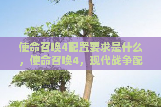 使命召唤4配置要求是什么，使命召唤4，现代战争配置要求详解