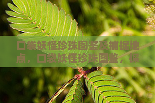 口袋妖怪珍珠图鉴及捕捉地点，口袋妖怪珍珠图鉴，探索神奇宝贝的奇妙世界