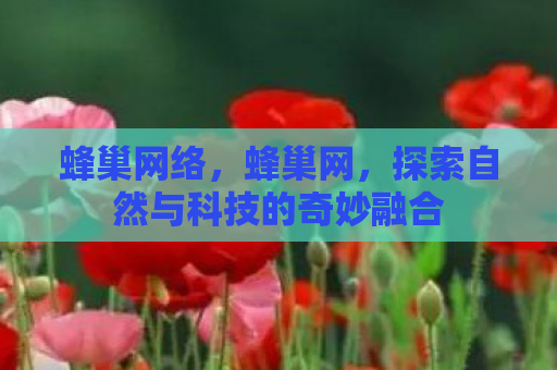 蜂巢网络，蜂巢网，探索自然与科技的奇妙融合