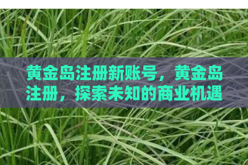 黄金岛注册新账号，黄金岛注册，探索未知的商业机遇