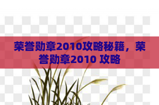 荣誉勋章2010攻略秘籍，荣誉勋章2010 攻略