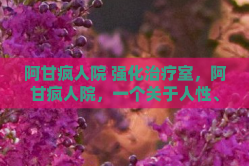 阿甘疯人院 强化治疗室，阿甘疯人院，一个关于人性、爱与救赎的奇妙旅程