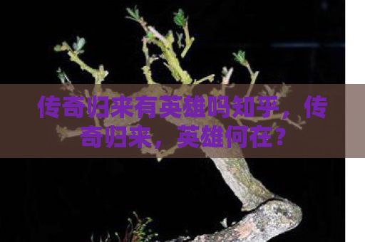 传奇归来有英雄吗知乎，传奇归来，英雄何在？