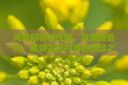 风雨稻香村在哪，风雨稻香村，解锁古风村落的浪漫之旅