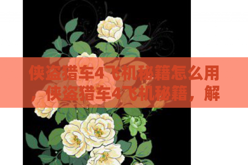 侠盗猎车4飞机秘籍怎么用，侠盗猎车4飞机秘籍，解锁飞行乐趣的秘籍指南