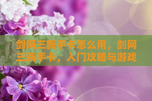 剑网三新手卡怎么用，剑网三新手卡，入门攻略与游戏心得