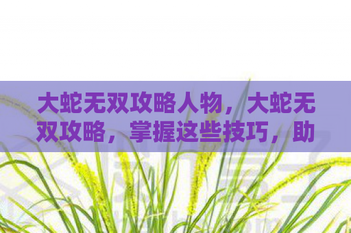 大蛇无双攻略人物，大蛇无双攻略，掌握这些技巧，助你轻松通关