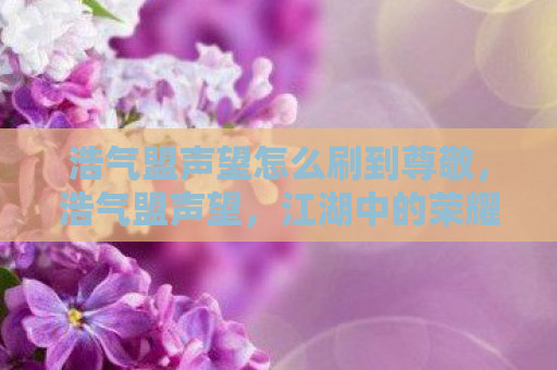 浩气盟声望怎么刷到尊敬，浩气盟声望，江湖中的荣耀与责任