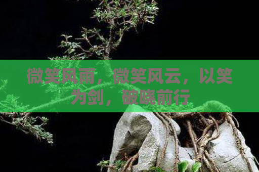 微笑风雨，微笑风云，以笑为剑，破晓前行