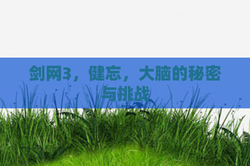 剑网3，健忘，大脑的秘密与挑战