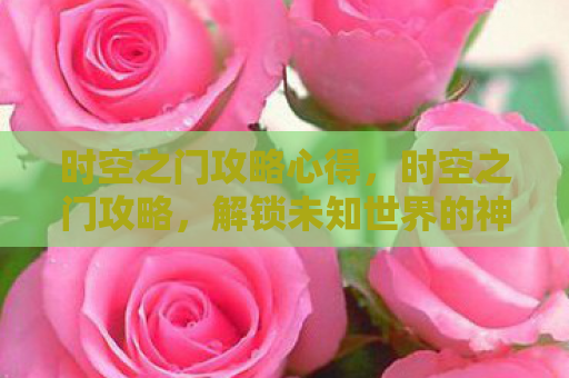 时空之门攻略心得，时空之门攻略，解锁未知世界的神秘钥匙