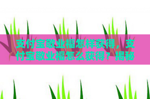 支付宝敬业福怎样获得，支付宝敬业福怎么获得？揭秘获取敬业福的攻略
