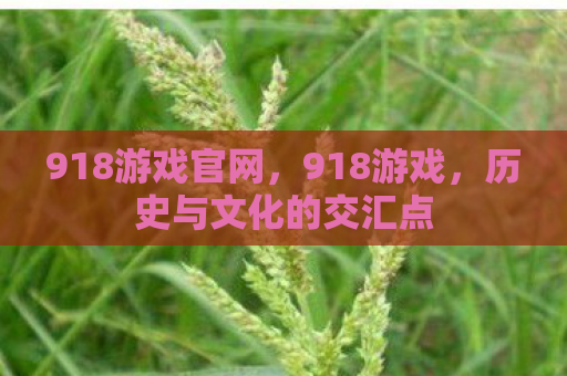 918游戏官网，918游戏，历史与文化的交汇点