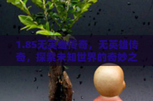 1.85无英雄传奇，无英雄传奇，探索未知世界的奇妙之旅