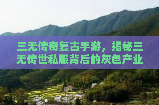 三无传奇复古手游，揭秘三无传世私服背后的灰色产业链