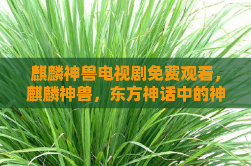 麒麟神兽电视剧免费观看，麒麟神兽，东方神话中的神秘存在