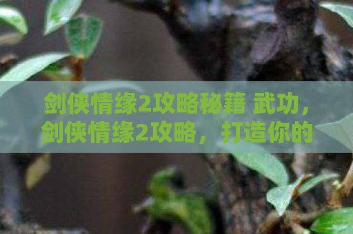 剑侠情缘2攻略秘籍 武功，剑侠情缘2攻略，打造你的江湖传奇