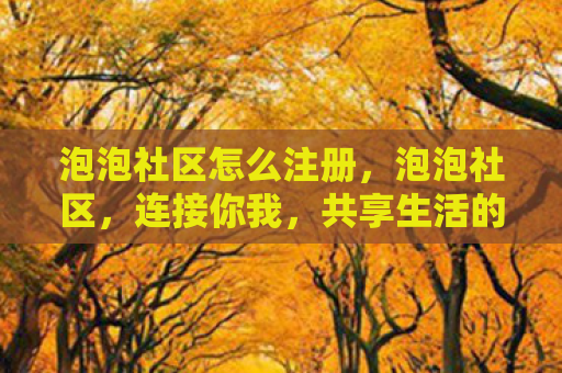 泡泡社区怎么注册，泡泡社区，连接你我，共享生活的温馨角落