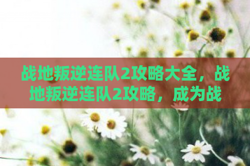 战地叛逆连队2攻略大全，战地叛逆连队2攻略，成为战场主宰的必备技巧