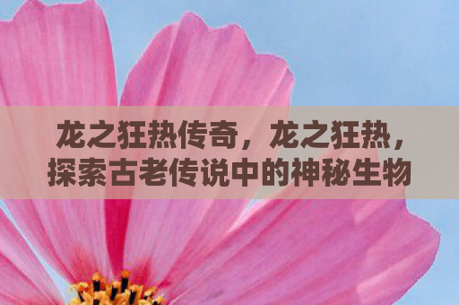 龙之狂热传奇，龙之狂热，探索古老传说中的神秘生物