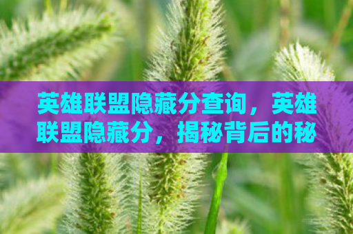 英雄联盟隐藏分查询，英雄联盟隐藏分，揭秘背后的秘密