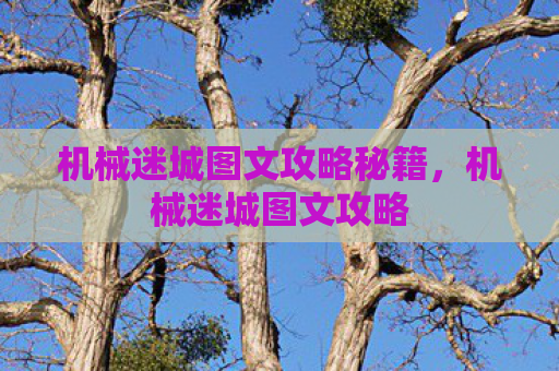 机械迷城图文攻略秘籍，机械迷城图文攻略