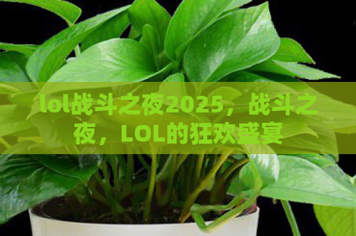 lol战斗之夜2025，战斗之夜，LOL的狂欢盛宴