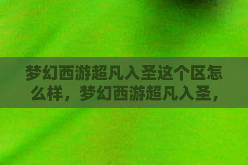 梦幻西游超凡入圣这个区怎么样，梦幻西游超凡入圣，探索经典游戏的无限可能