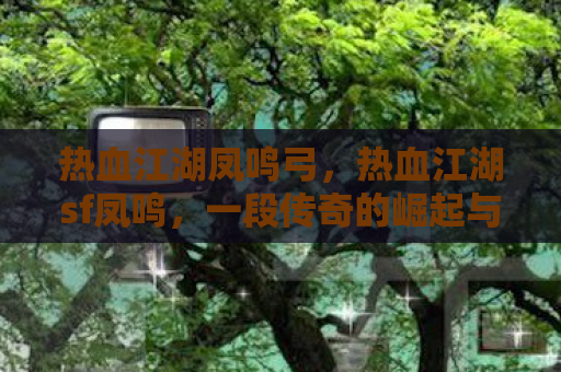 热血江湖凤鸣弓，热血江湖sf凤鸣，一段传奇的崛起与陨落