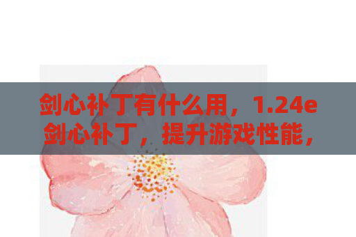 剑心补丁有什么用，1.24e剑心补丁，提升游戏性能，优化玩家体验