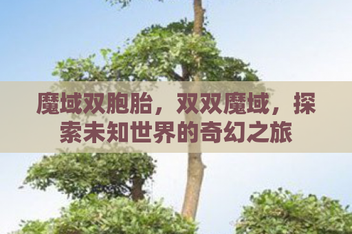 魔域双胞胎，双双魔域，探索未知世界的奇幻之旅