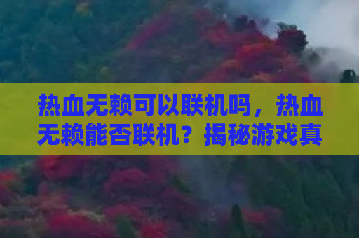 热血无赖可以联机吗，热血无赖能否联机？揭秘游戏真实面貌