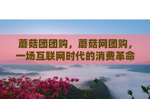 蘑菇团团购，蘑菇网团购，一场互联网时代的消费革命