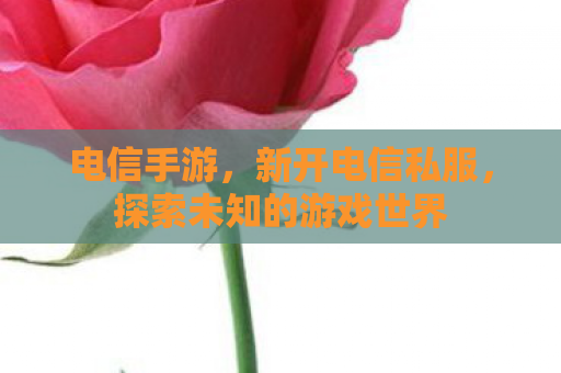 电信手游，新开电信私服，探索未知的游戏世界
